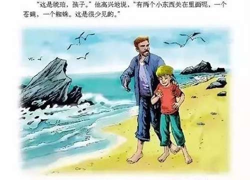 琥珀是怎么形成的